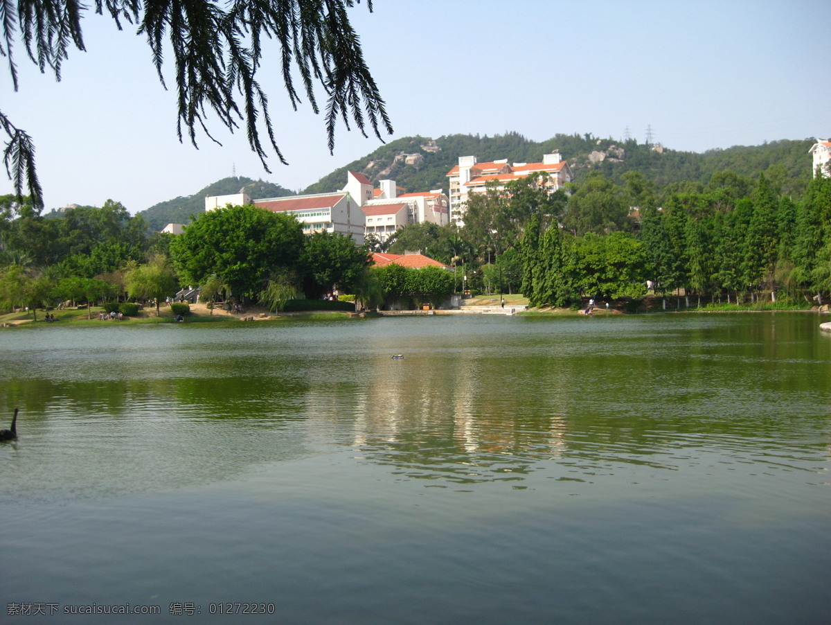 厦门大学 湖水 风景 学校 建筑 自然景观 自然风景 灰色