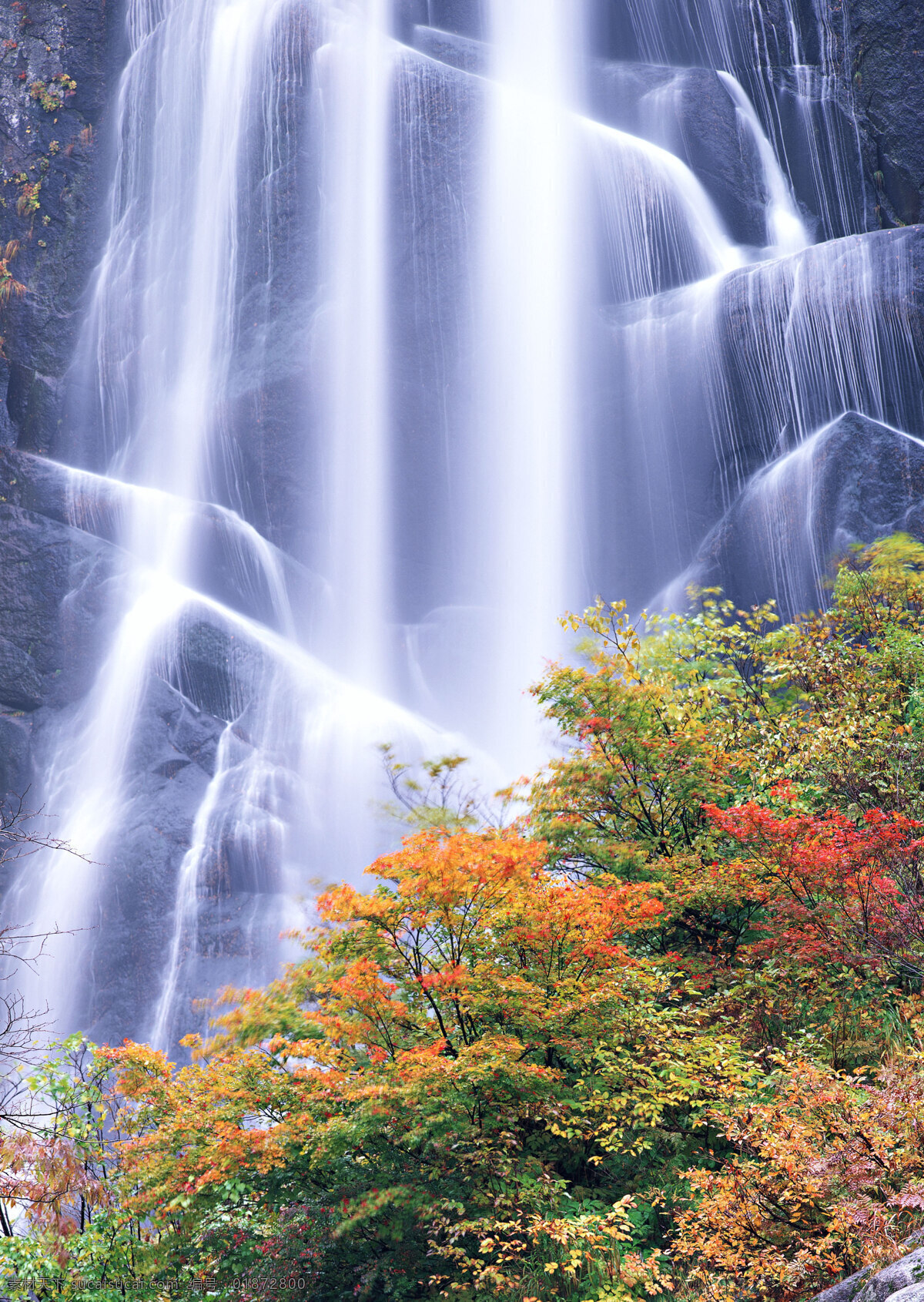 悬崖 上 落下 瀑布 摄影图库 树木 树叶 自然风景 山水景色 水 装饰素材 山水风景画