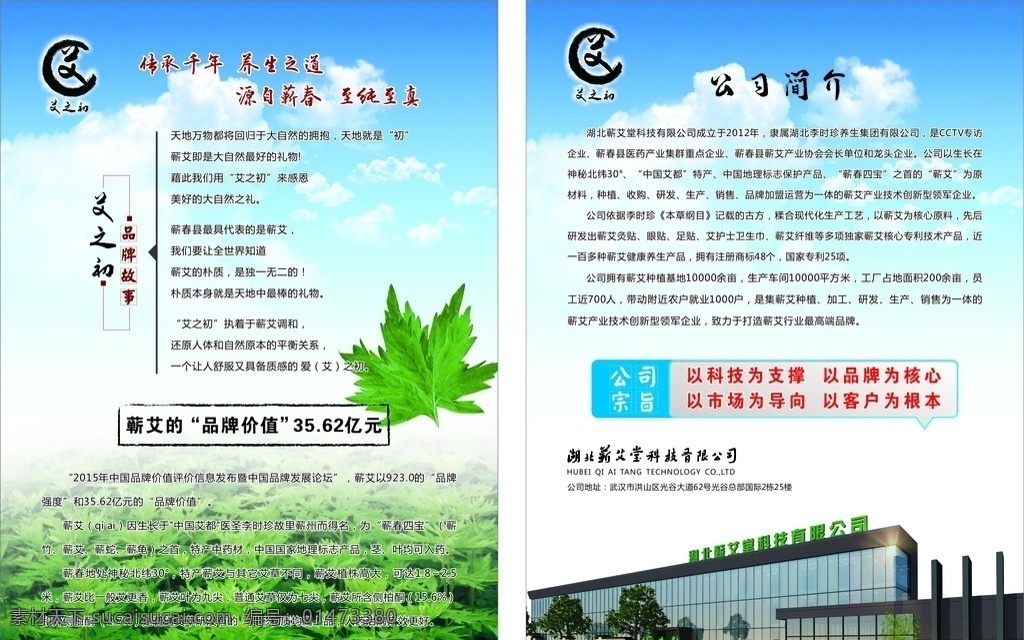 产品宣传单 公司介绍 蕲艾叶 蓝色天空 蕲艾草地 清新 展板模板 底纹边框 背景底纹