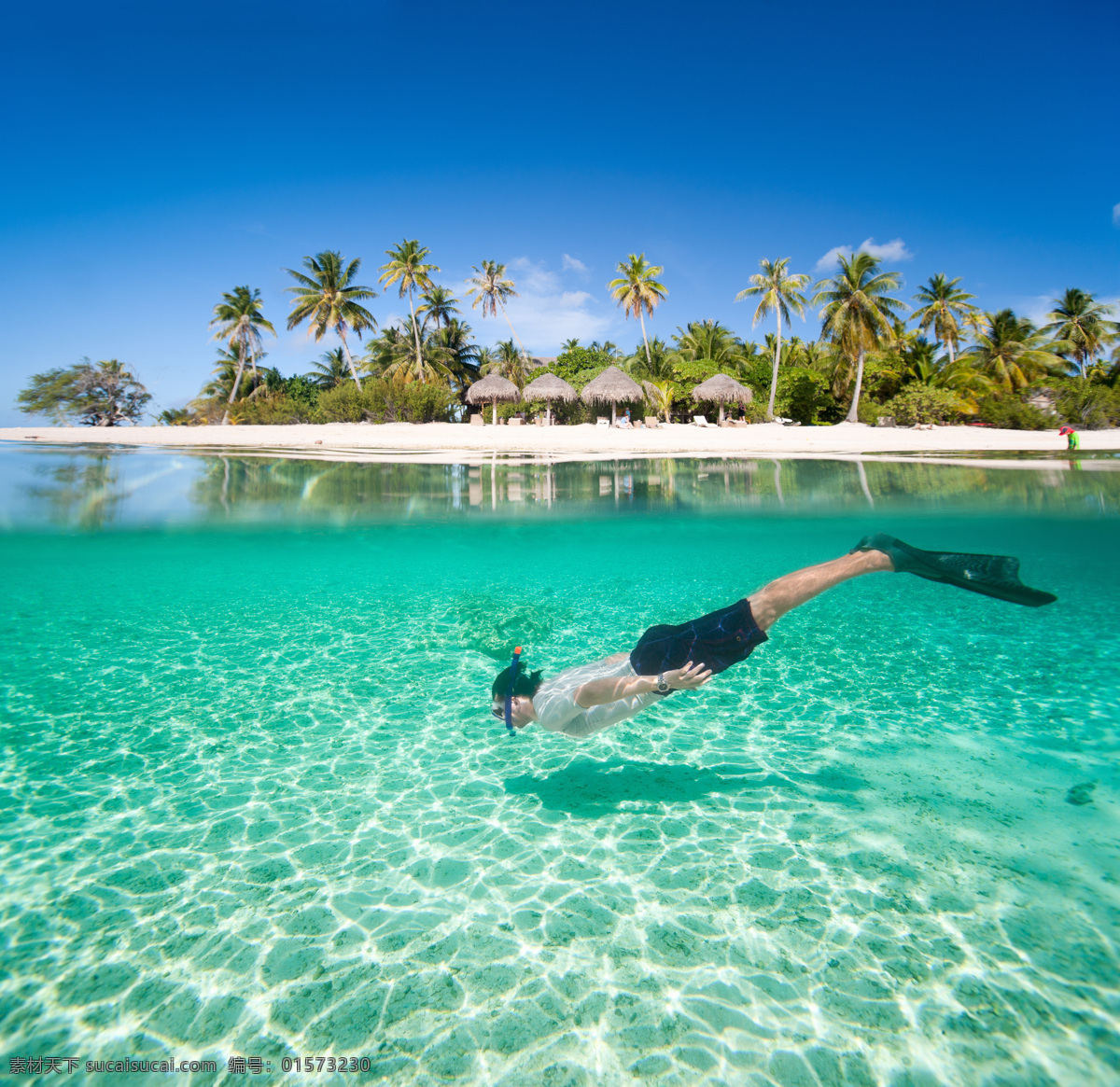 潜水 人 椰树 风景 大海风景 美丽海景 自然美景 景色 潜水运动员 蓝天 自然风景 自然景观 青色 天蓝色