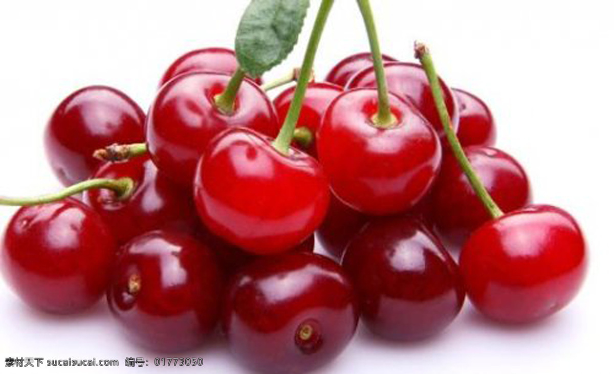 樱桃 红色 红色水果 新鲜樱桃 成熟的樱桃 生物世界 水果