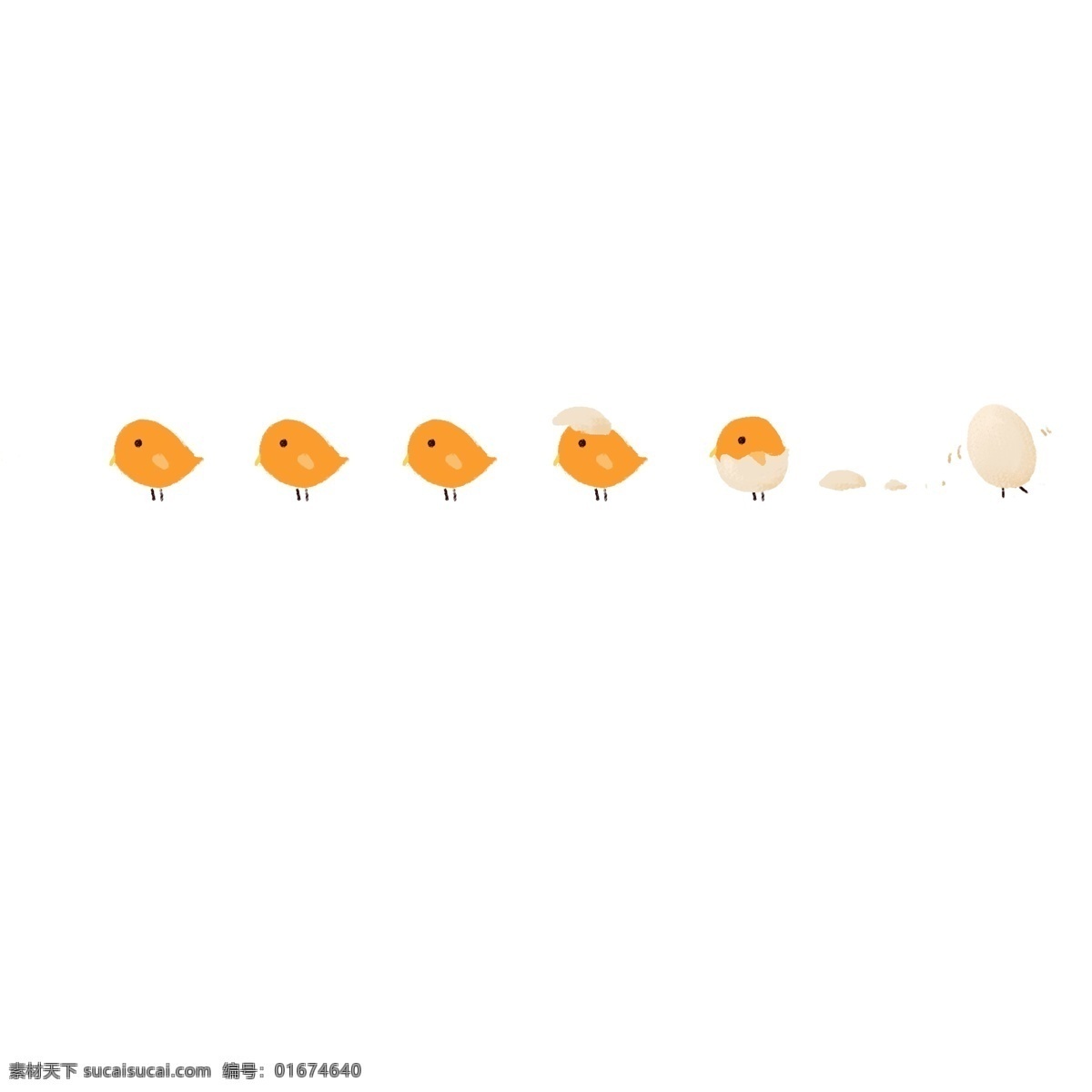 卡通 小鸟 分割线 插画 手绘白色鸟蛋 破壳 动物 分割线插画 小鸟分割线 橙色小鸟
