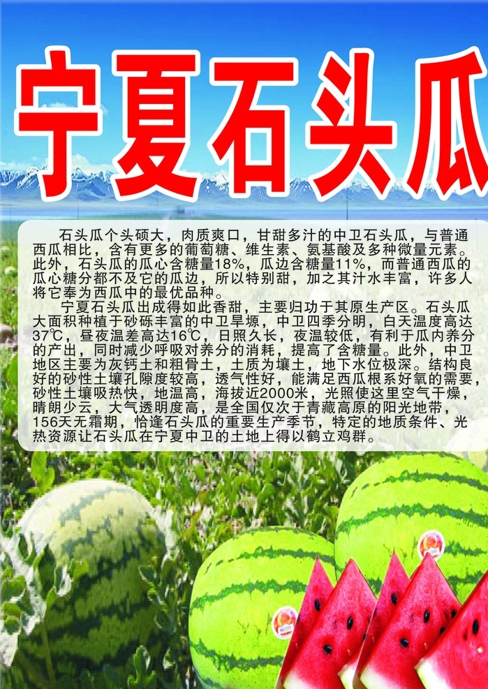 宁夏石头瓜 宁夏 石头瓜 西瓜 水果 作用 功效