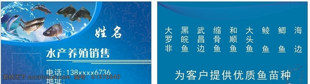 水产名片模板 水产名片素材 水产名片背景 水产名片欣赏 鱼名片 四大家鱼 鱼名片设计