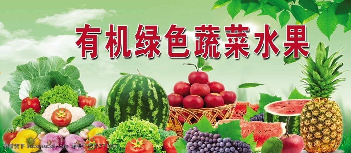 有机 绿色 蔬菜水果 有机蔬菜 绿色蔬菜 水果 菠萝 葡萄 西瓜 西红柿 黄瓜 白菜