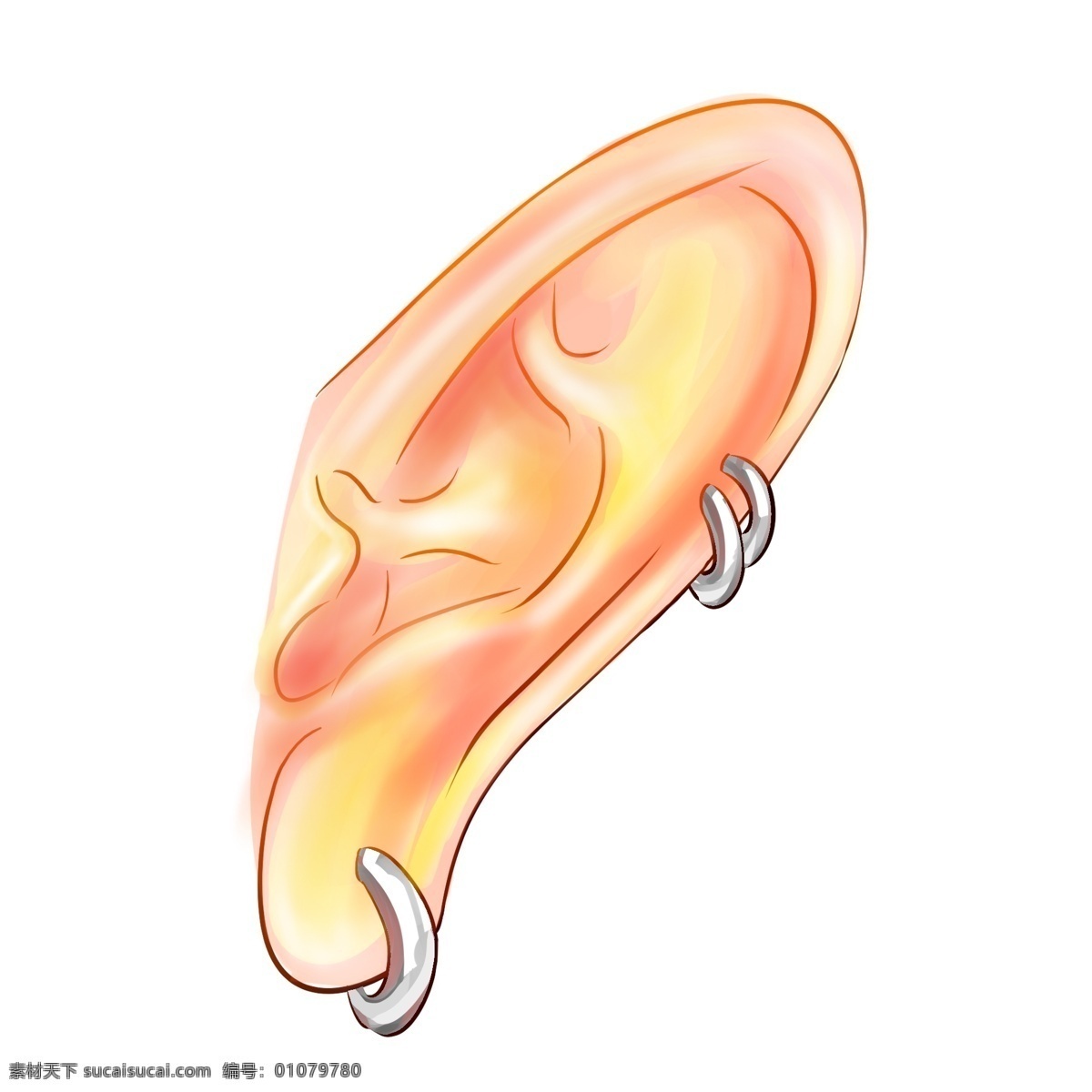 耳朵 器官 卡通 插画 耳朵的器官 卡通插画 人体器官 五官 器官插画 人体组织 漂亮的耳朵