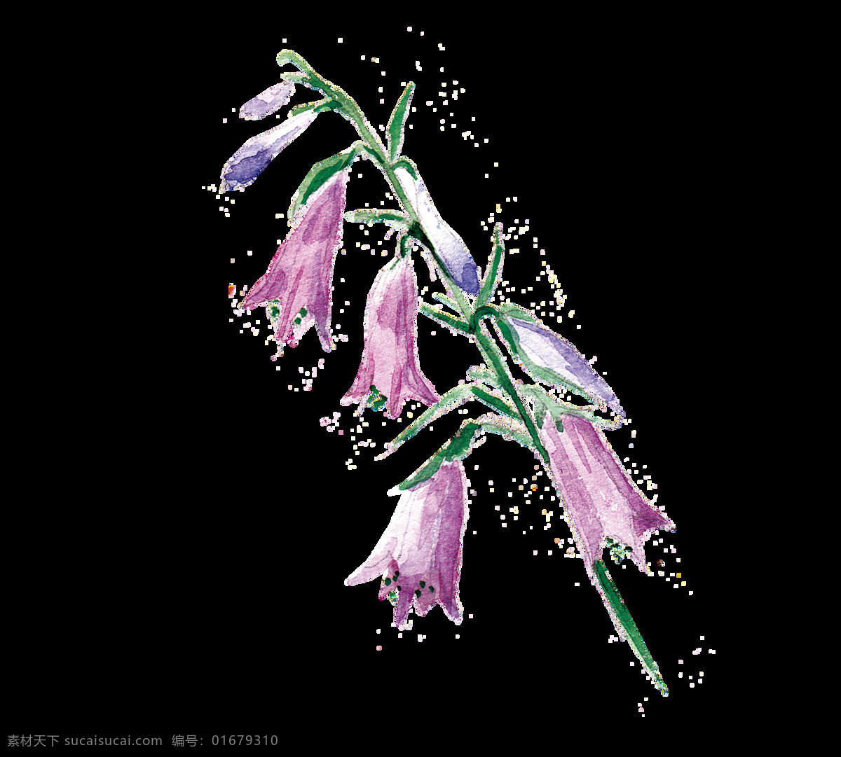 脆 紫 花枝 透明 装饰 花朵 免扣素材 透明素材 装饰图案 紫色