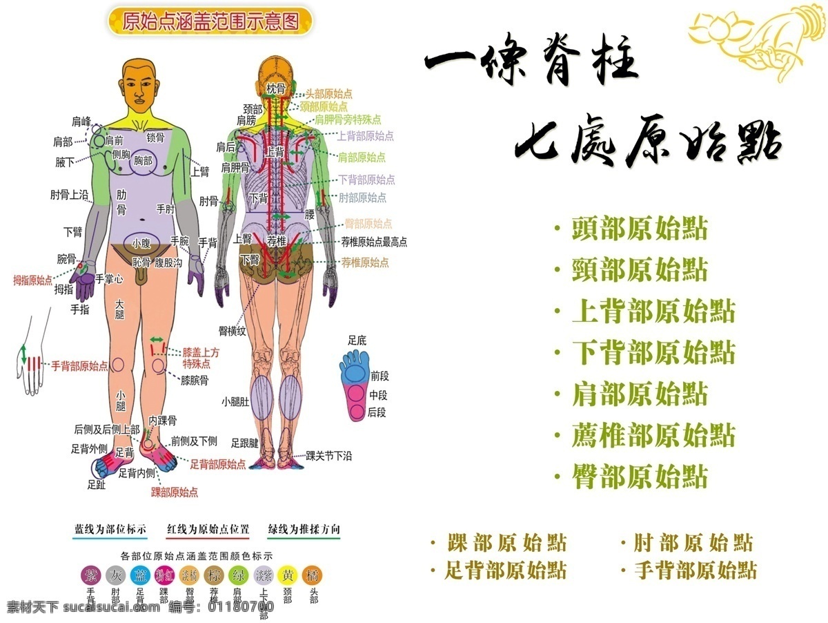 原始点 脊柱 经络 原始疼点 佛 张钊汉 医师 莲花