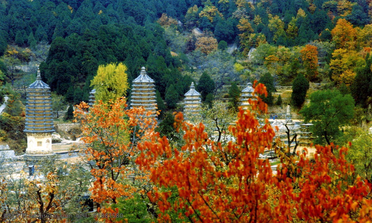 北京名胜 昌平区 银山 塔林 树 旅游摄影 国内旅游 摄影图库