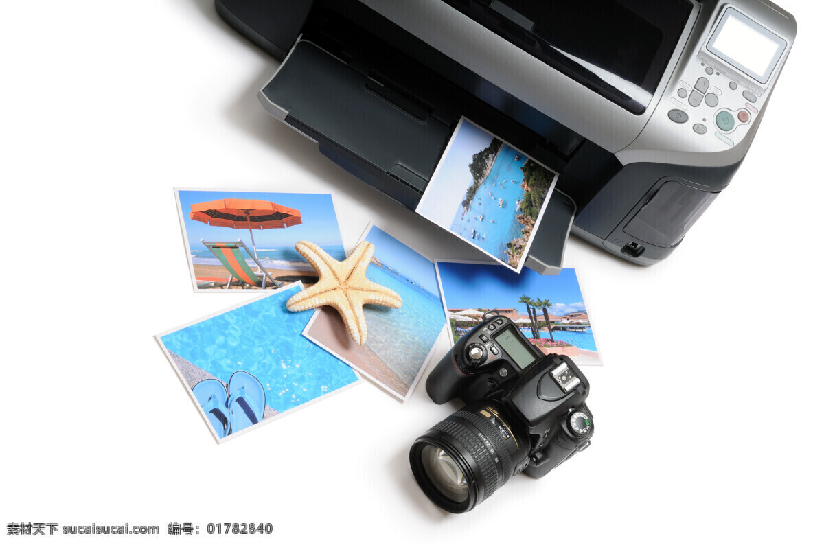 相机 照片 打印机 海星 风景 生活 旅游餐饮