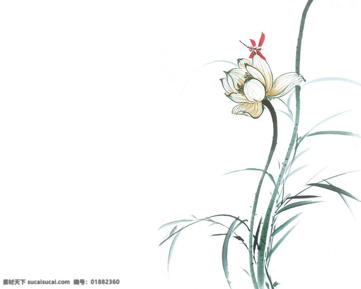 荷花蜻蜓 中国水墨画 昆虫世界 古典 花草 昆虫 花朵 植物 线条 水墨 蜻蜓 文化艺术 绘画书法 设计图库