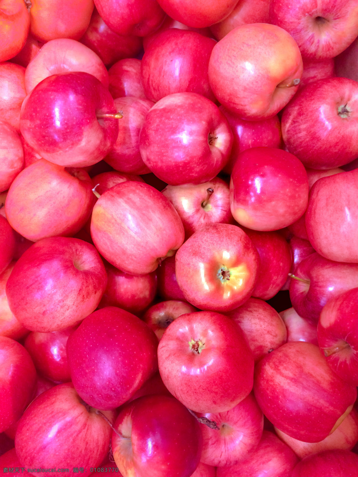 新鲜的苹果 苹果 红富士苹果 有机水果 绿色水果 农产品 鲜果 生物世界 水果