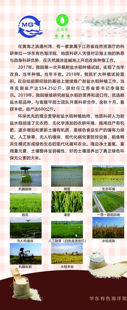 华东 有色 海洋 院 大米 海报 华东有色 海洋院 大米海报 华东有色大米 海洋大米海报 海洋院展架 绿色无公害 无公害大米 绿色大米海报