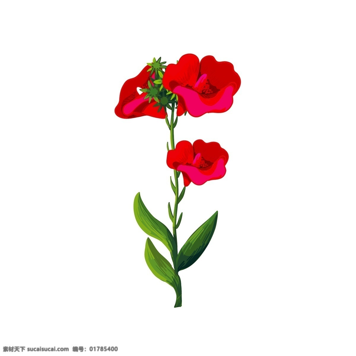 写实 卡通 植物 红色 喇叭 花卉 绿叶 花朵 写实风