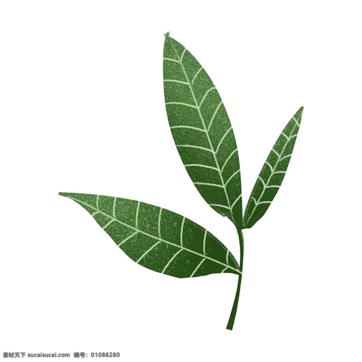 绿色植物 叶子 树枝 水彩 浪漫 唯美 清雅 装饰图案 免扣素材