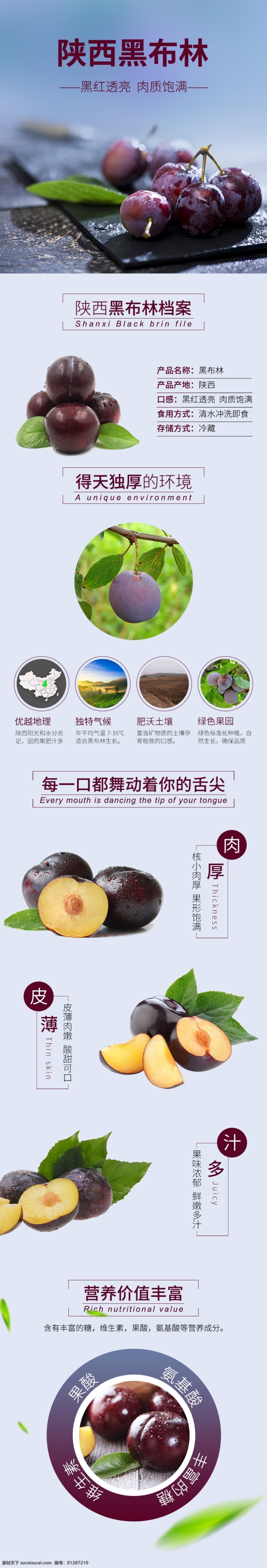 黑 布林 水果 淘宝 详情 页 食品 黑布林 详情页 电商淘宝