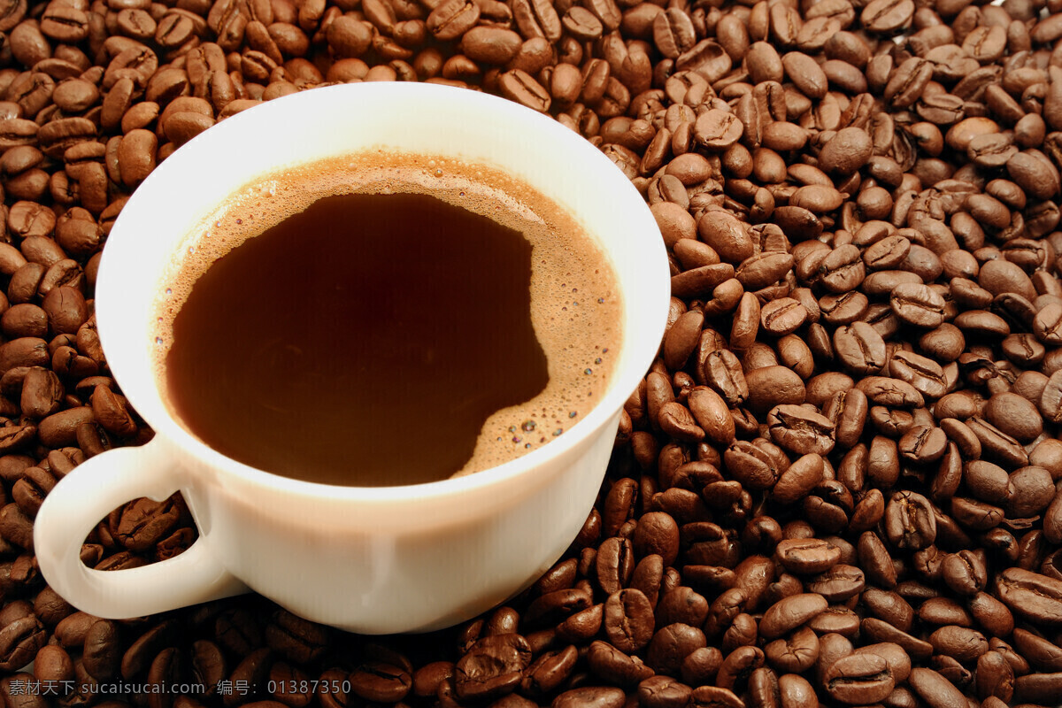 张 咖啡豆 高清晰 咖啡 咖啡店 苦咖啡 饮料 咖啡馆 星巴克 可可豆 可可 咖啡色 杯子 饮料酒水 餐饮美食
