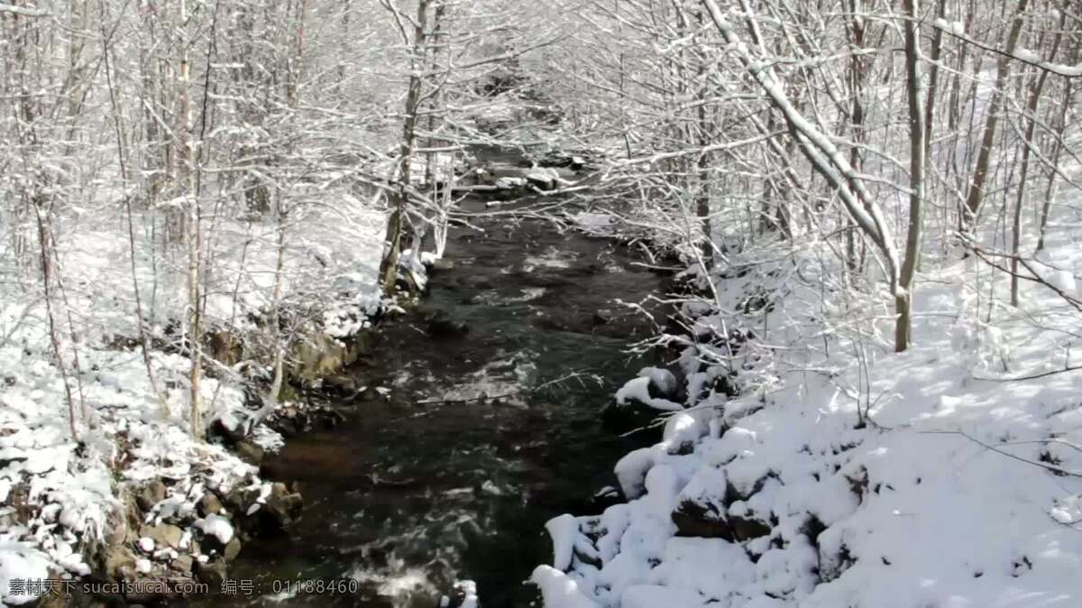 冬季 流 ccby natureclip 背景 景观 自然 冬天 流动 雪 冰 熔化 季节性的 瑞典 森林 解冻 冷冻 下雪的 季节 冬日 河 小溪 水 冰冷的 霜