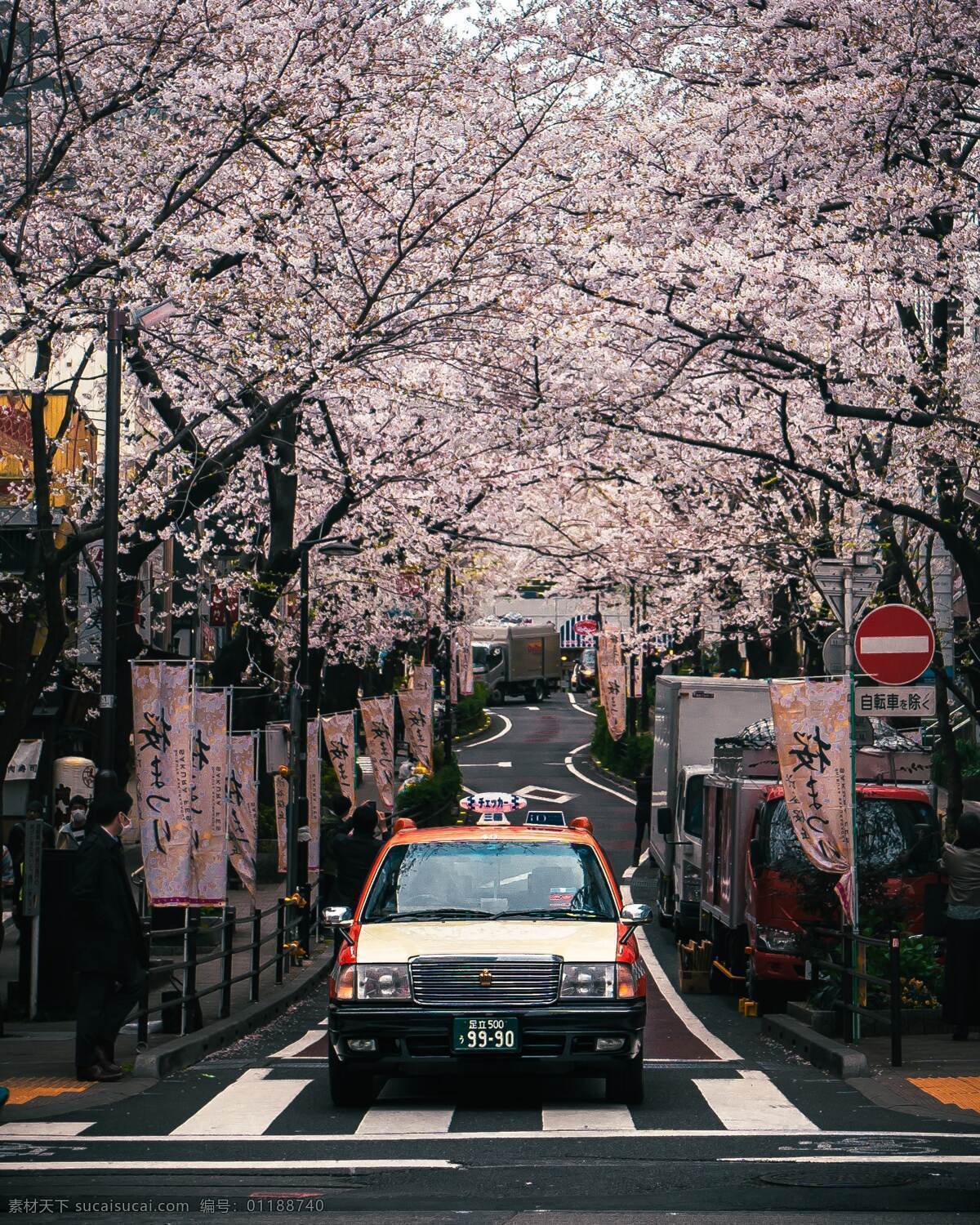 樱花 盛 开下 出租车 樱花盛开 日本 的士 春天 自然景观 自然风景