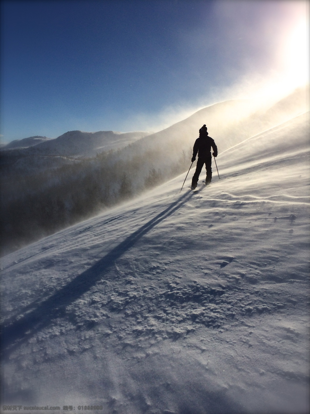 孤独 背影 阳光 雪花 滑雪 人物 自然景观 山水风景