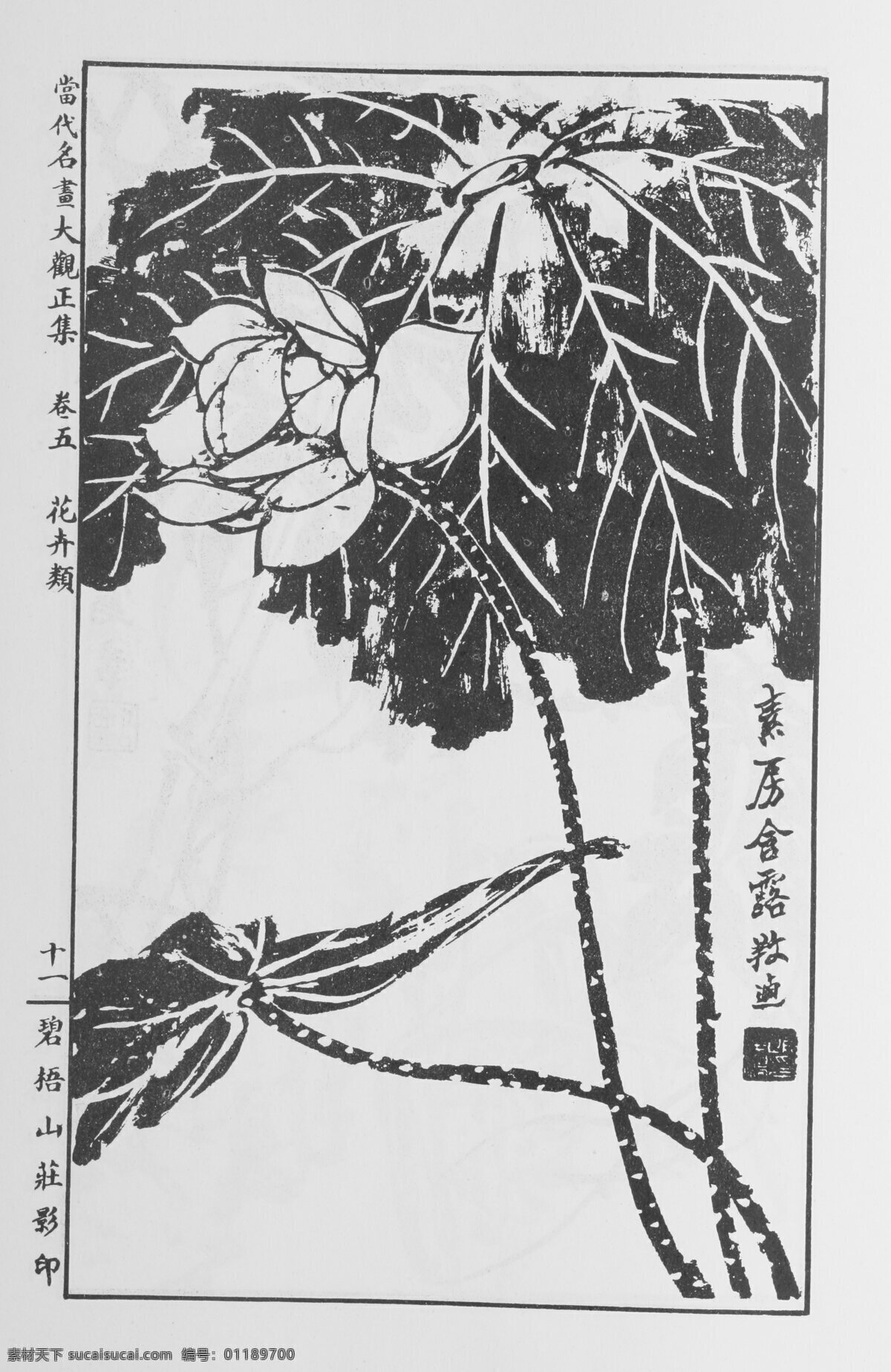 花卉画 中国画 当代 名画 大观 正 集 设计素材 花鸟画篇 中国画篇 书画美术 白色