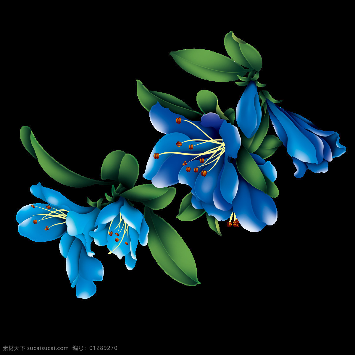 蓝色 手绘 花朵 免 扣 元素 蓝色花朵 花 透明 免扣元素