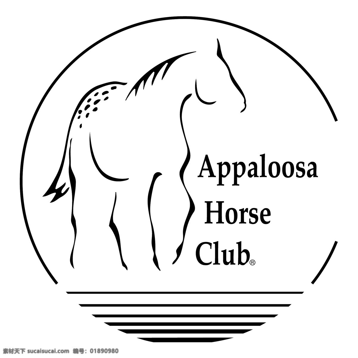 阿巴 鲁萨 马 俱乐部 阿帕卢萨 阿帕卢萨马 马的俱乐部 appaloosa 俱乐部的形象 在俱乐部 免费 矢量 艺术设计 向量 自由 艺术 载体 载体的俱乐部 图形 建筑家居