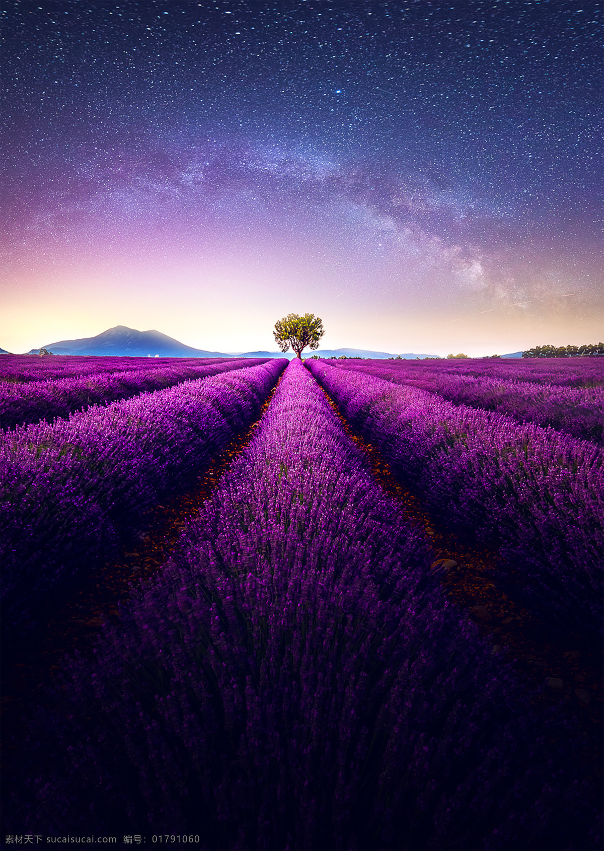 星空 薰衣草 薰衣草田 夜空 黑夜 星星 繁星 星光 夜 夜晚 天空 黑 银河 星河