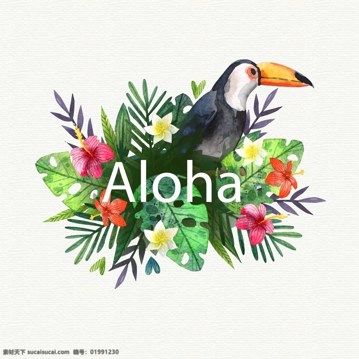 创意 夏威夷 大 嘴 鸟 花卉 矢量图 扶桑花 鸡蛋花 棕榈树叶 大嘴鸟 底纹边框 花边花纹