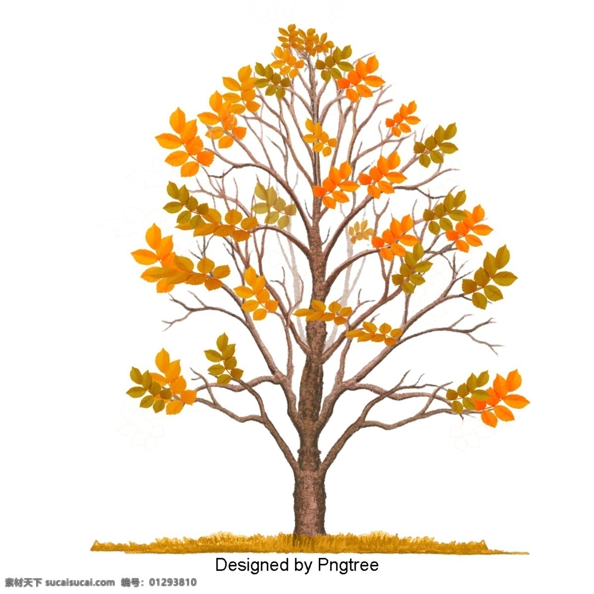 卡通 手绘 秋季 元素 绘画 艺术 插图 自然 植物 季节 秋天 树叶