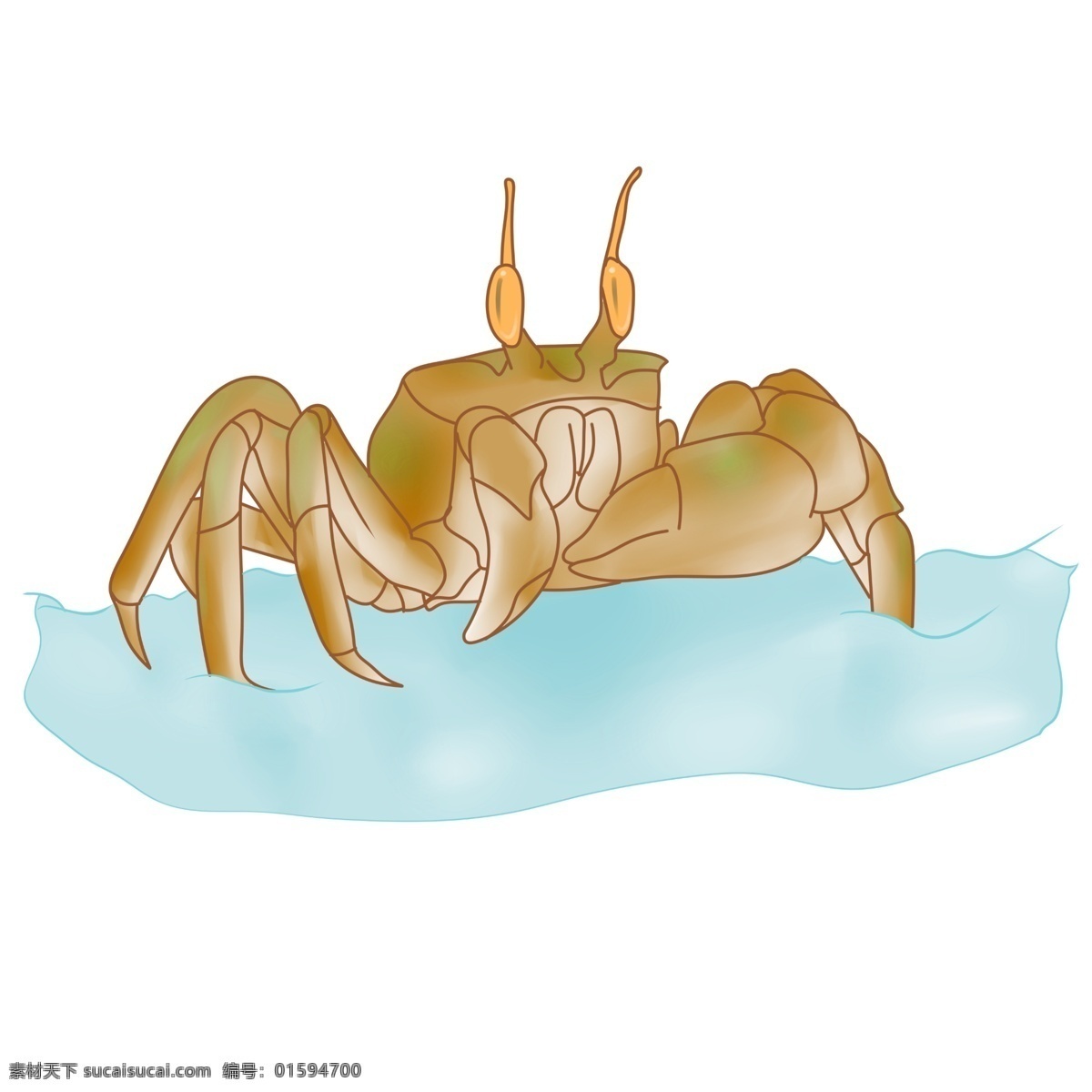 手绘 海鲜 螃蟹 插画 手绘螃蟹插画 可爱的螃蟹 卡通螃蟹插画 海鲜螃蟹 海洋生物 卡通海鲜插画