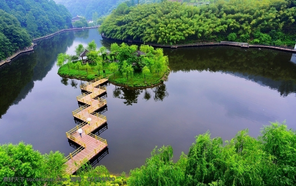 春景树林 春景 树林 春天景色 春天 春景竹林 自然景观 山水风景