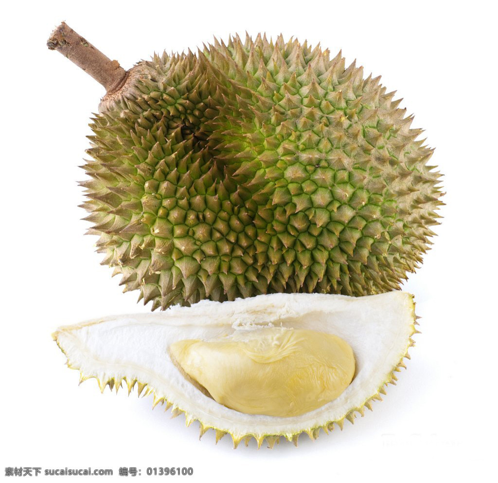 榴莲 摄影图库 生物 水果 果实 生物世界