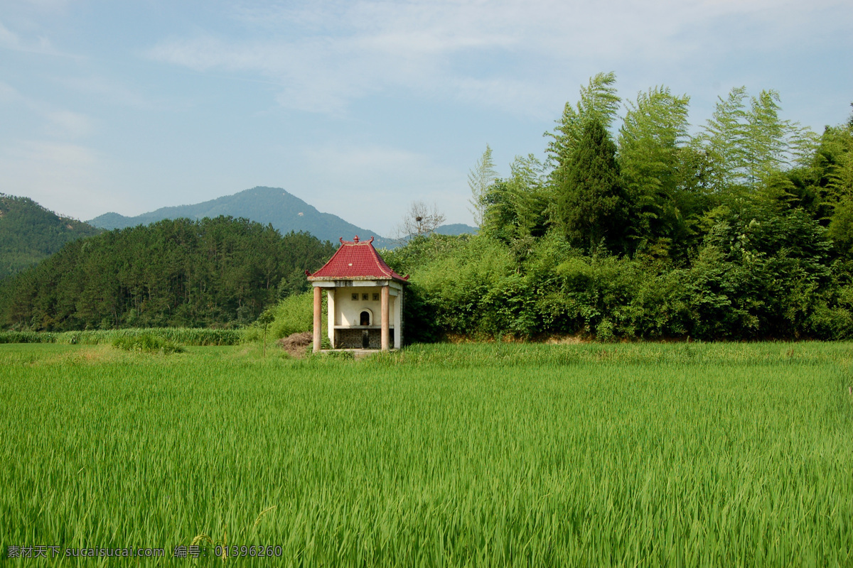 乡村社庙 社庙 农村社庙 绿野 建筑 田地 绿树 绿山 传统文化 文化艺术