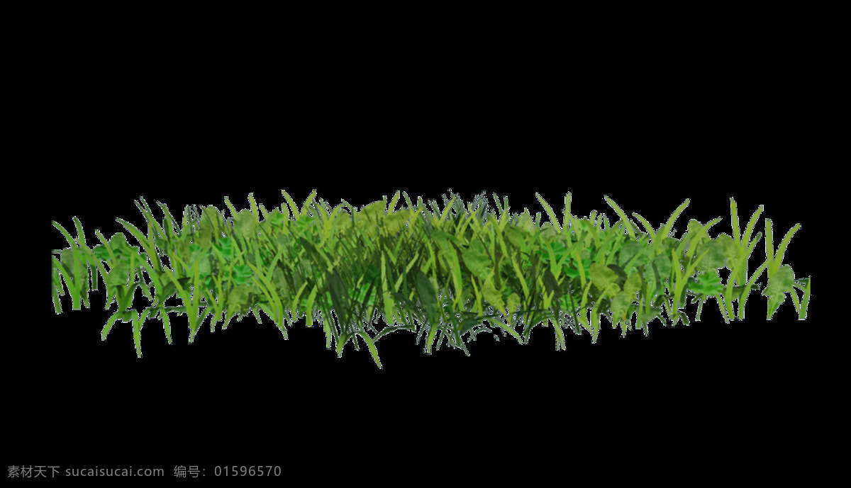 青青 草丛 透明 装饰 绿色 免扣素材 透明素材 植物 装饰图案