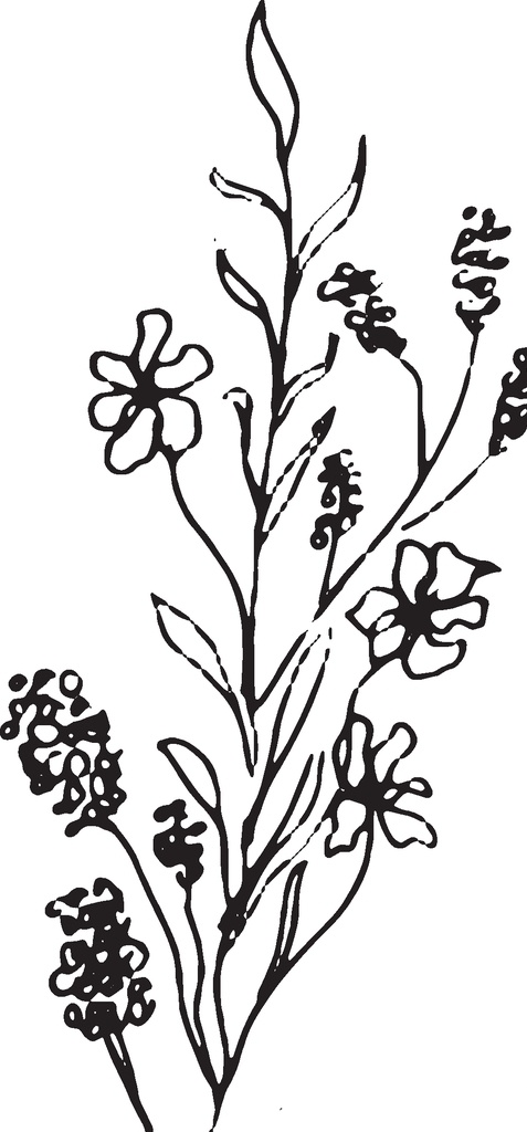 手绘花卉元素 森系花枝 花卉花草 园林艺术 园艺 园林盆栽 园艺盆景 绿化盆景 森系花草 森系绿植 淡雅花枝 花草植物 植树节 橄榄枝 枝茎叶 植物 树枝 清新自然 森系花卉 清新植物 花卉 花朵 植物景观 花藤 花叶 鲜花 花语 花艺 文艺风 花艺插花 手绘花朵 花边花纹 植物花草 花卉植物 彩绘花纹 欧式花纹