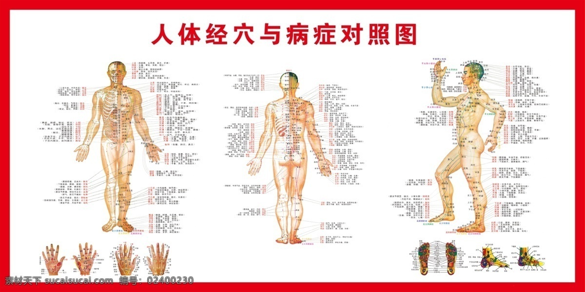 人体 经脉 病症 分布图 经络 经络分布图