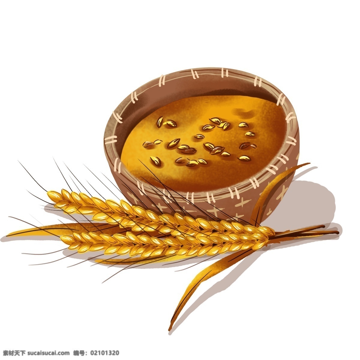 成熟 小麦 稻谷 麦穗 小满 手绘 元素 二十四节气 夏天 丰收 农作物 粮食 饱满 农民 土地