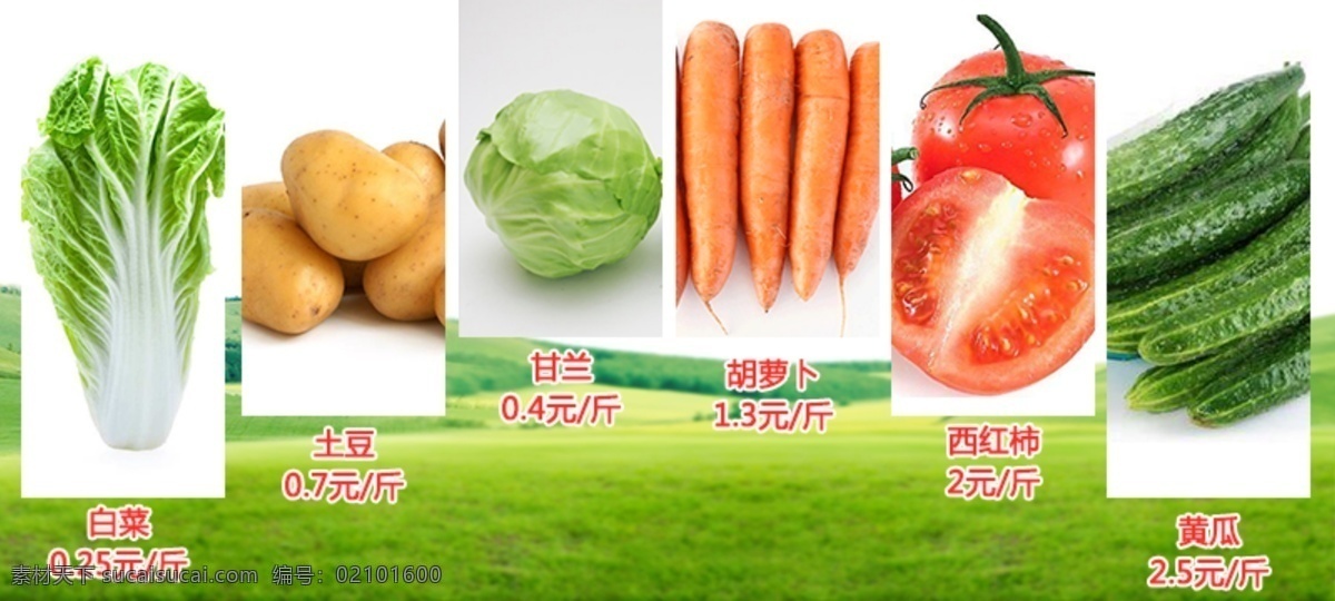 蔬菜轮播海报 蔬菜 蔬菜海报 白菜 土豆 圆白菜 胡萝卜 西红柿 黄瓜 轮播图 蔬菜轮播图