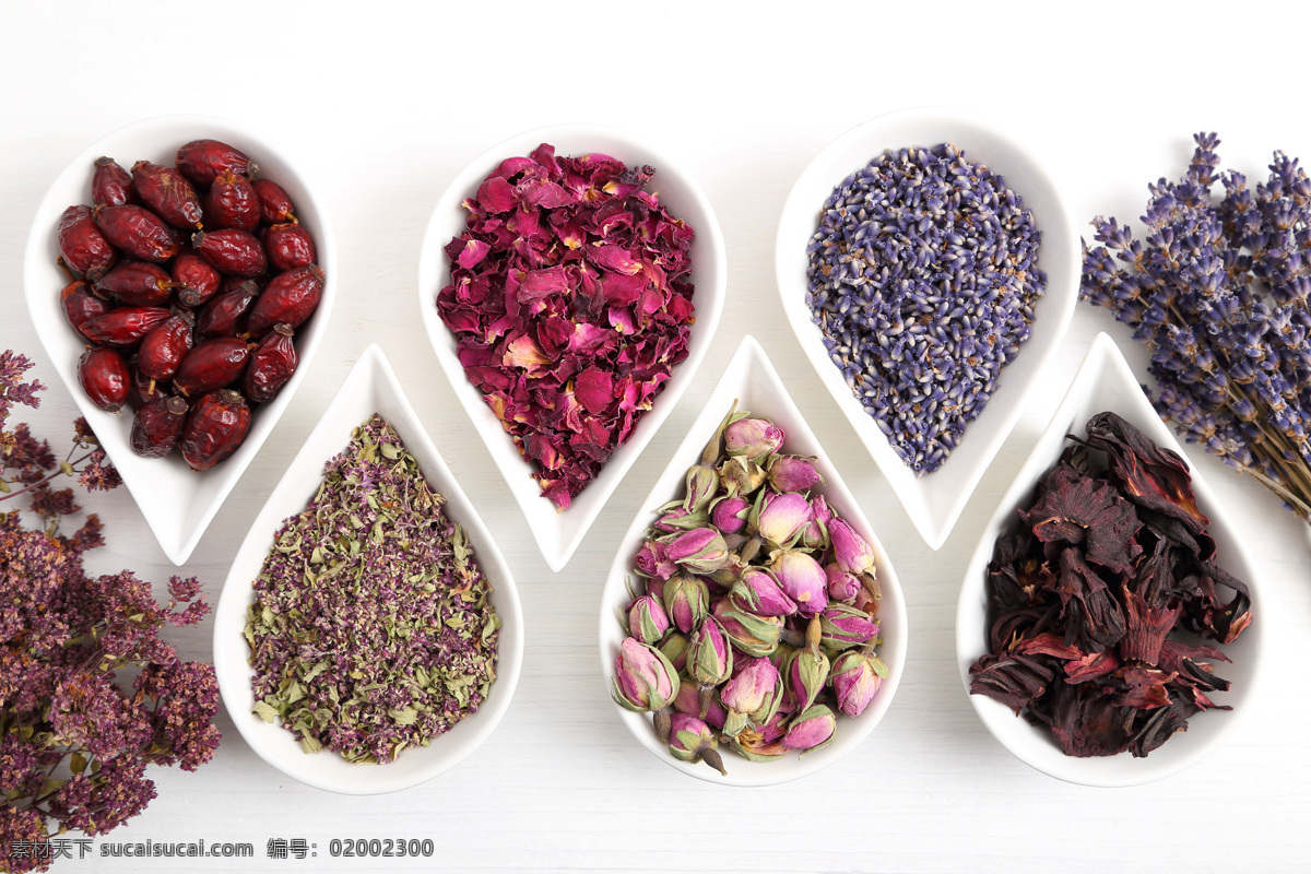 花茶 绿茶 红茶 普洱 药茶 茶具 茶道 茶艺 茶文化 传统文化 禅茶 养生 休闲 艺术 传统 中国风 沏茶 泡茶 品茶 茶韵 07饮料 餐饮美食 饮料酒水