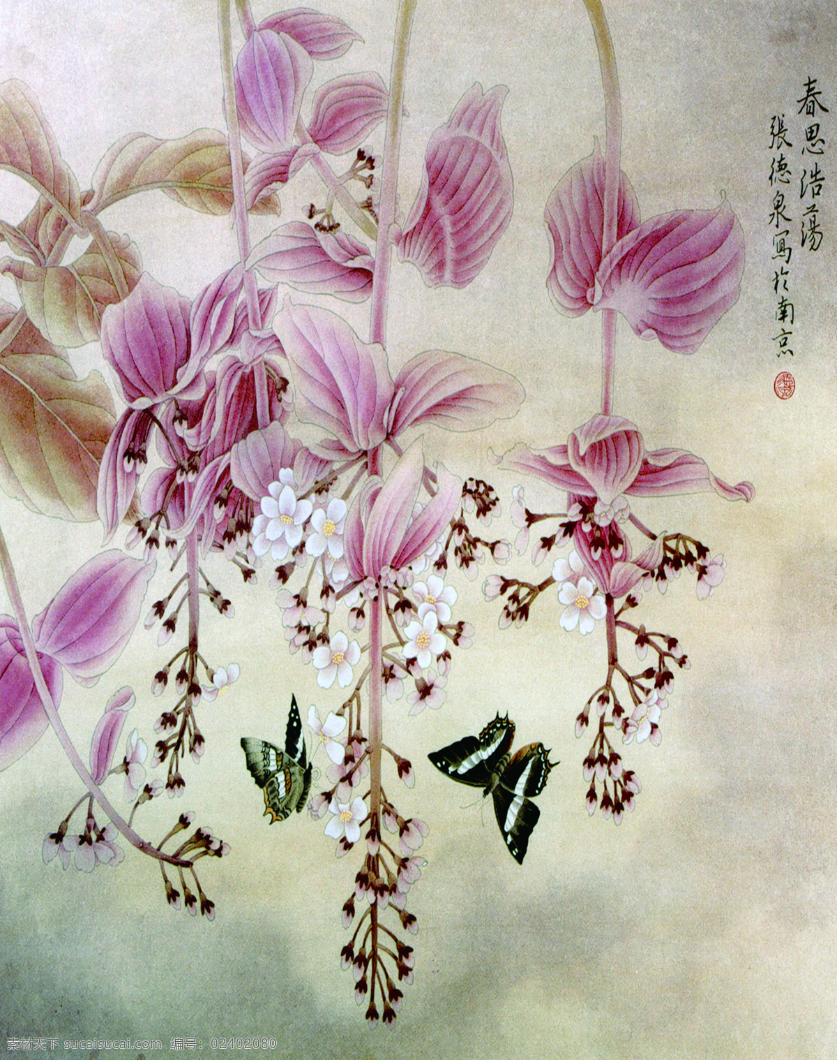 创意 吊 兰花 装饰画 吊兰花 漂亮 彩色
