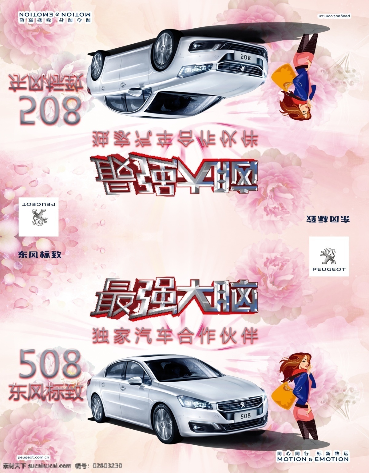 508车顶牌 车顶牌 东风标致 白色