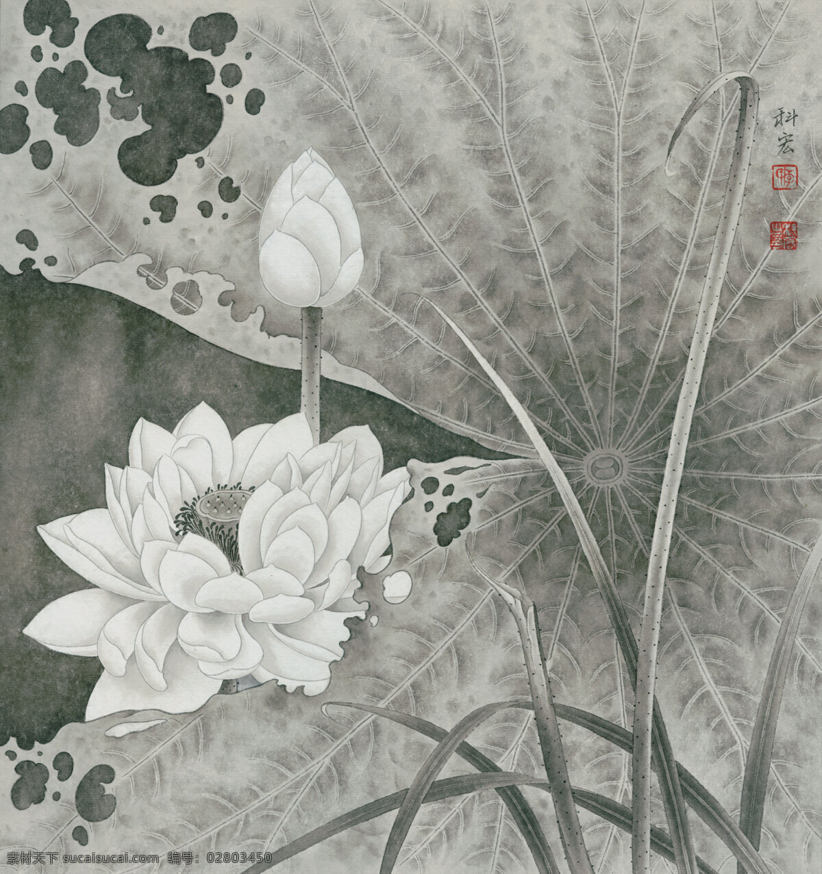 科 宏 工笔 荷花 白 荷 清韵 工笔画 字画 国画 走廊挂画 客厅挂画 教室挂画 花鸟画 工笔花鸟 工笔国画 工笔荷花 工笔画欣赏 工笔画素材 文化艺术 绘画书 法 高清工笔画 风景 绘画书法