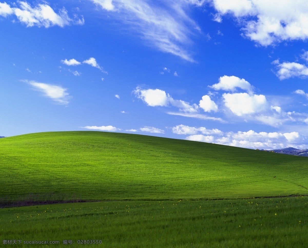蓝天白云草地 windows xp 原始桌面背景 蓝天 白云 草地 自然风景 自然景观