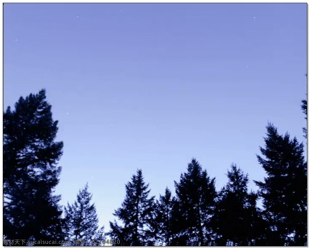 蓝天 树木 视频 高清视频素材 视频素材 动态视频素材 大树