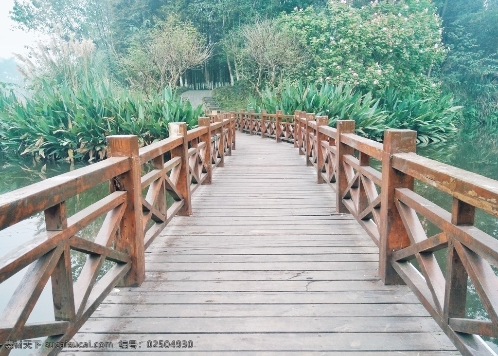 桥 木桥 路 桤木 河 湿地 公园 桤木河 湿地公园 旅游 风景 生活 旅游摄影 国内旅游