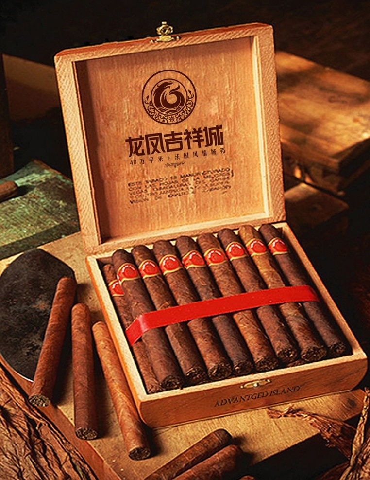雪茄 木盒 房地产 房地产广告 创意 分层
