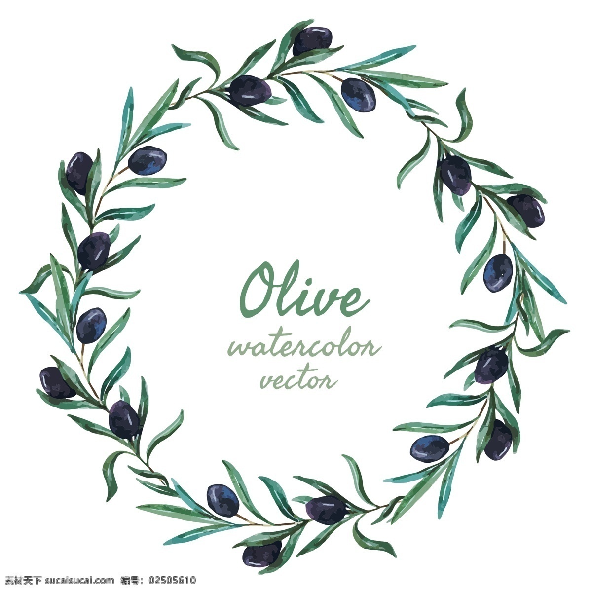 时尚 水彩 绘 橄榄枝 花边 边框 橄榄 花枝 手绘 水彩绘 叶子 植物