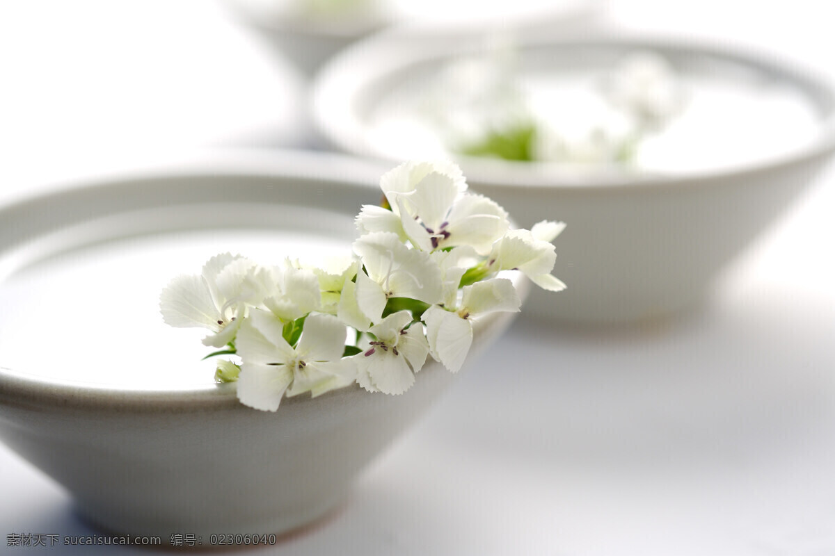 花朵免费下载 白色 百花 百花齐放 花朵 碗 风景 生活 旅游餐饮
