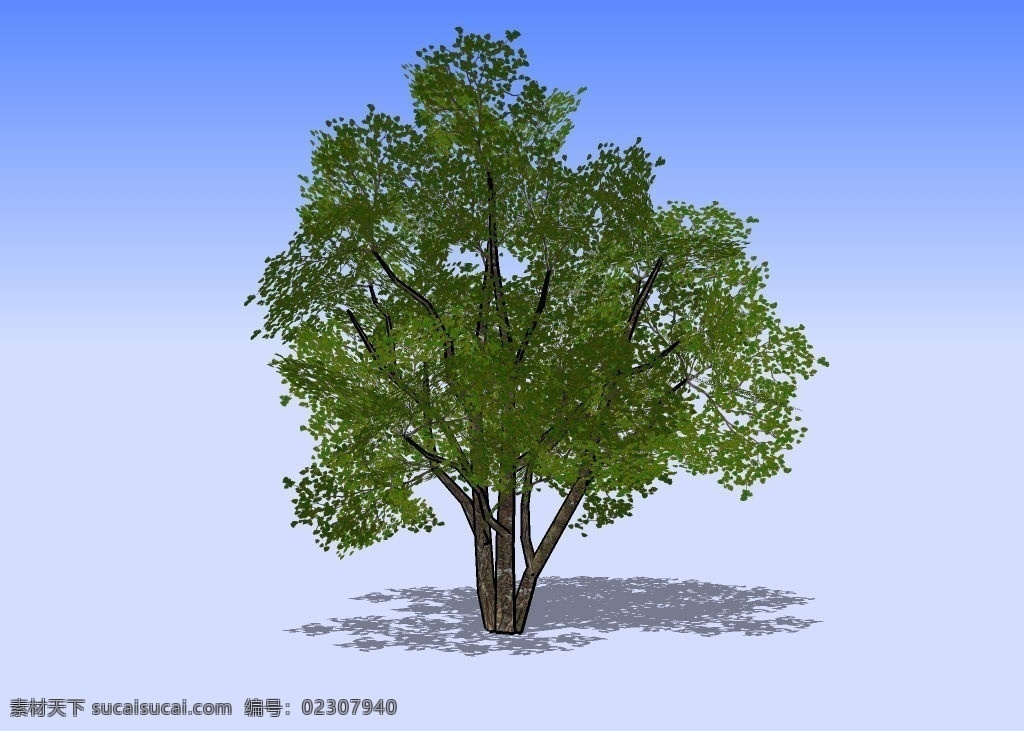 杂树3d模型 树干 树枝 树叶 绿叶 植物 三维 立体 skp模型 poss 造型 经典 装饰 精模 3d模型精选 其他模型 3d设计模型 源文件 skp